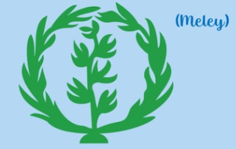 Aktion von Meley e.V.